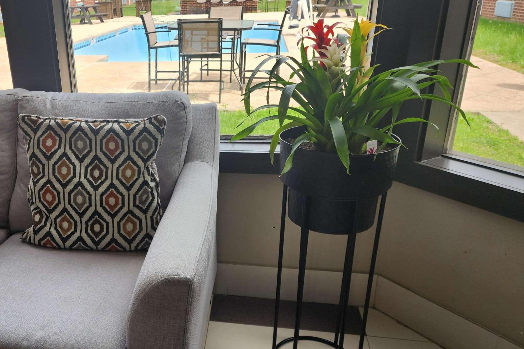 Quality Inn Dublin I-81 Bagian luar foto
